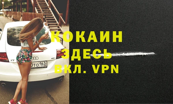 твердый Алексин
