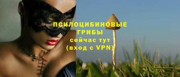 амф Алзамай