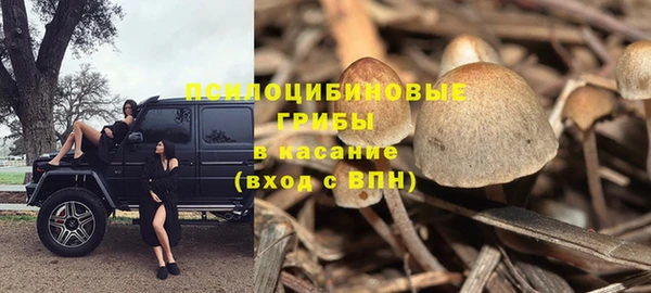 индика Алексеевка