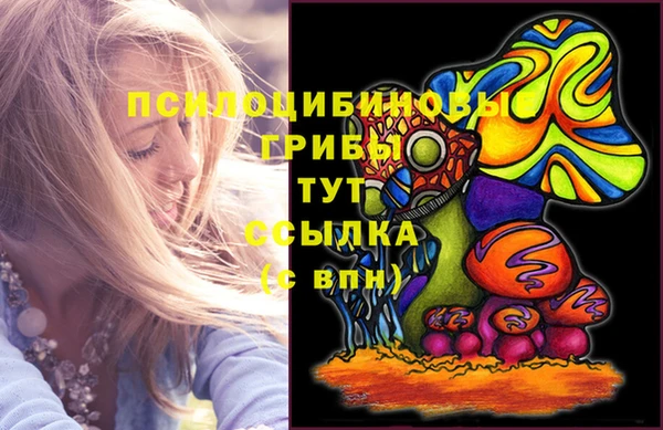 амф Алзамай