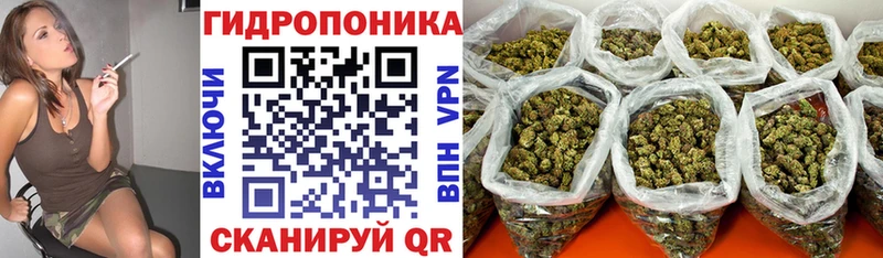 наркошоп  Жуковка  mega онион  Бошки марихуана сатива 